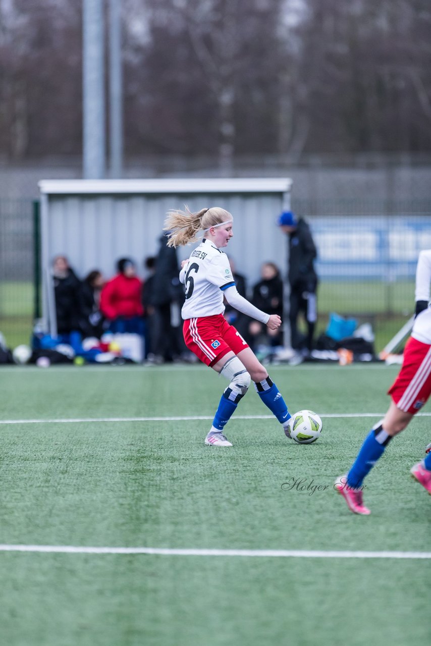 Bild 152 - wBJ HSV - F VfL Jesteburg : Ergebnis: 6:1